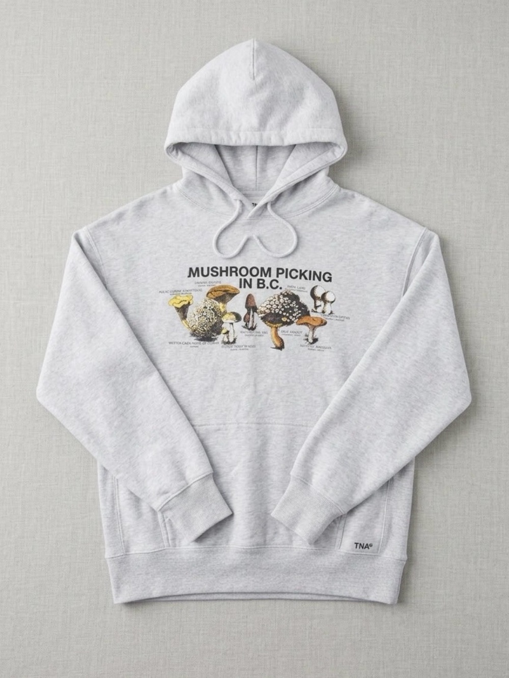 Aritzia TNA RARE Mushroom Picking in BC hoodie